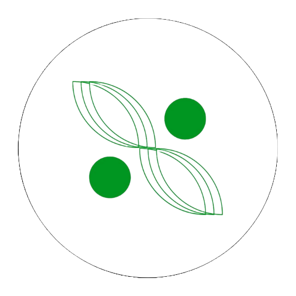 Ilanafuse logo
